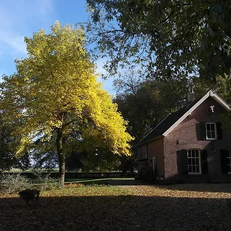Klein Ruimzicht Brummen